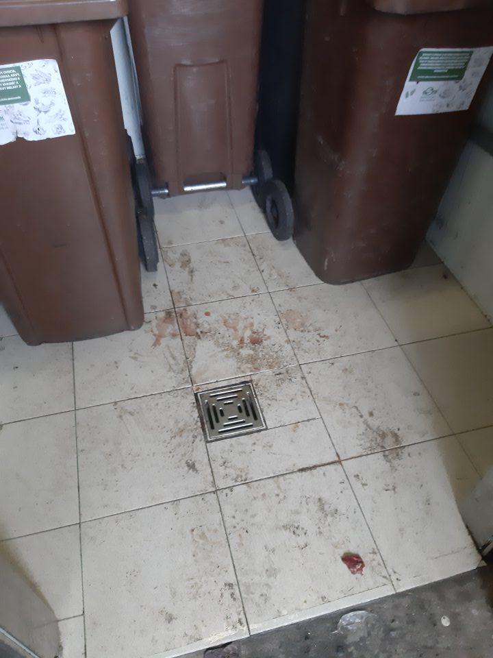 Krvou a vytečenou tekutinou znečistená podlaha v kafilerickom zariadený.