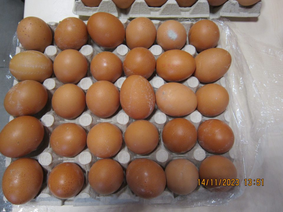 Prítomnosť plesní na povrchu šprupiny slepačích vajec