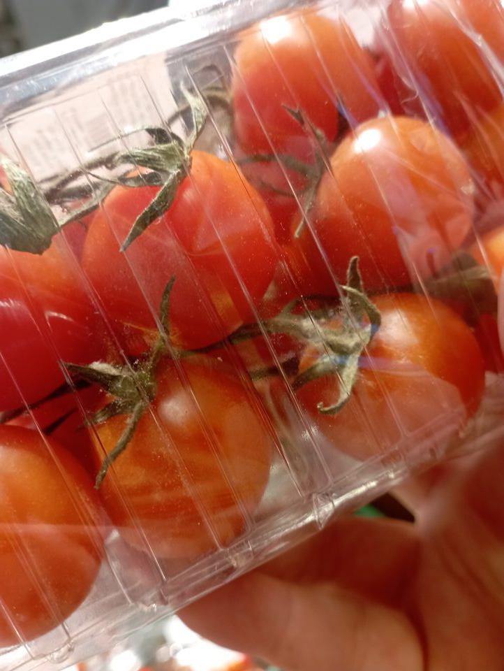 paradajky Cherry kríč. 500g, plody v balení napadnuté bielou a sivou plesňou