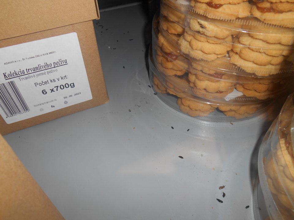 Hygiena predaja - na predajnej ploche na regáli, na ktorom je umiestnené balené trvanlivé pečivo, sa nachádza trus hlodavcov.