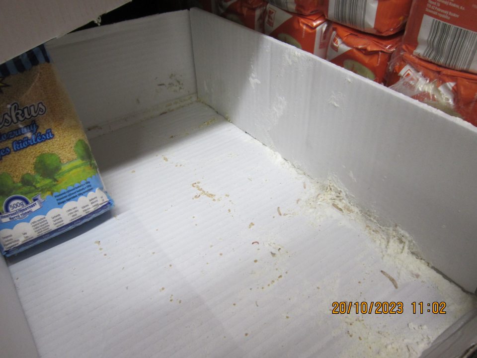 Vývojové štádia mole potravinovej (zámotky, červíky) v kartónovej krabici, kde je uložená potravina „Kuskus celozrnný“ 500g.