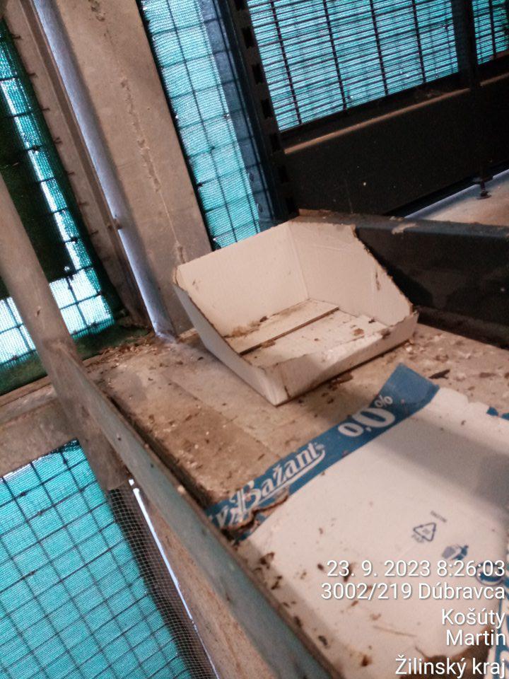 Zázemie prevádzky: prítomnosť škodcov - exkrementy hlodavcov a vtákov v samostatnej stavebne oddelenej časti určenej na príjem tovaru.