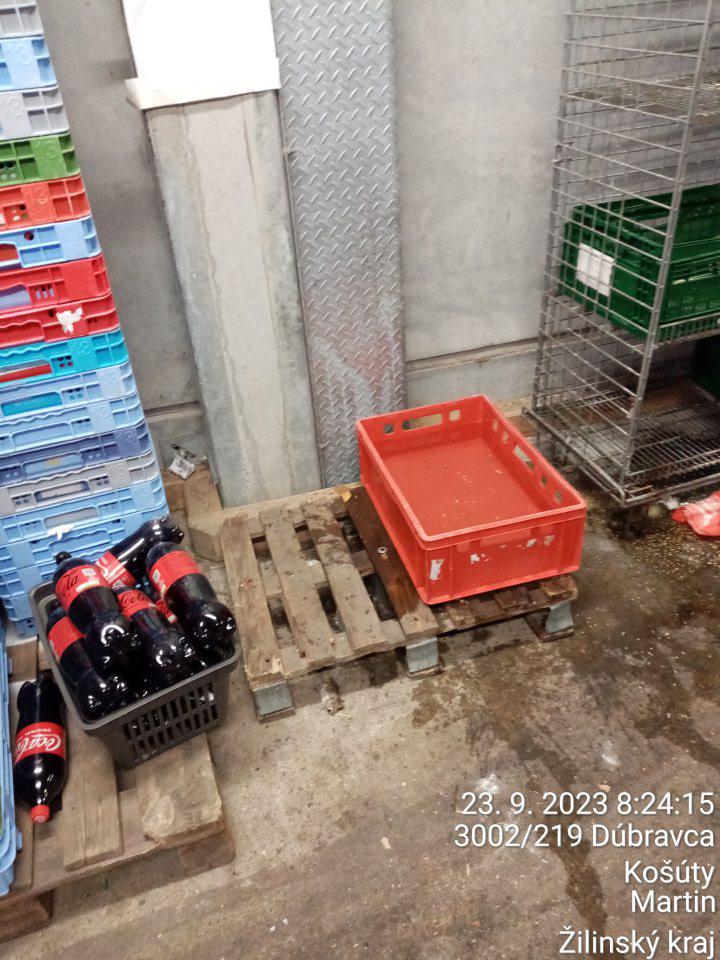 Zázemie prevádzky: prítomnosť škodcov - uhynutý hlodavec (myš).