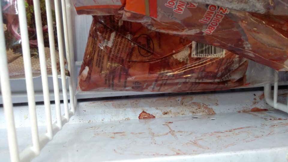 Znečistenie mraziaceho zariadenia na predajnej ploche slúžiaceho na uchovávanie hlbokozmrazenej zeleniny- znečistenie regálov polepenými etiketami, obsahom výrobkov.