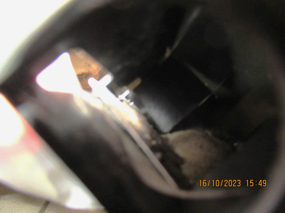 V monitorovacej staničke č.15 v sklade potravín výskyt 1 ks uhynutého hlodavca-myši. 