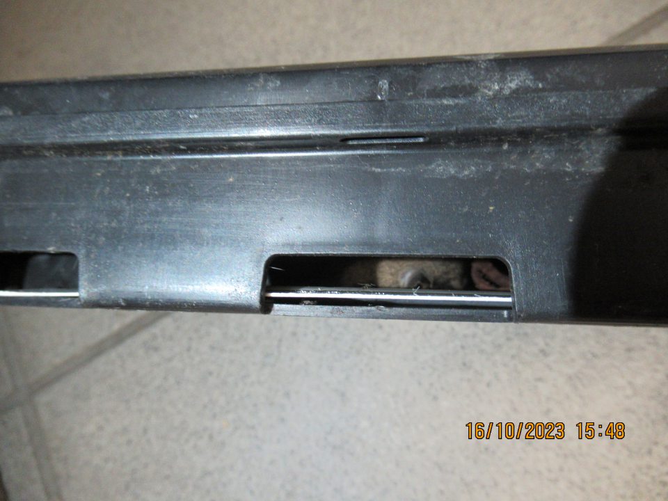 V monitorovacej staničke č.15 v sklade potravín výskyt 1 ks uhynutého hlodavca-myši. 