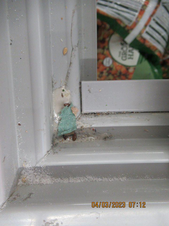 Znečistenie mraziaceho zariadenia na predajnej ploche znečistenie prachom, mechanickými nečistotami, tmelom v drážkach a posuvné dvierka.