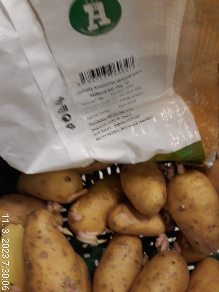 naklíčené zemiaky