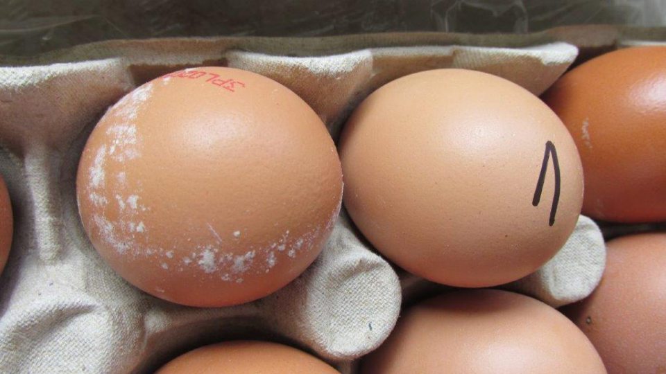 Nevyhovujúci výrobok - čerstvé vajcia, trieda A, hmotnostná trieda S, stredné: hmotnosť od 43 g do 52 g, kód na vajci: 3PL 02051301 K2, kód triediarne: PL30225901