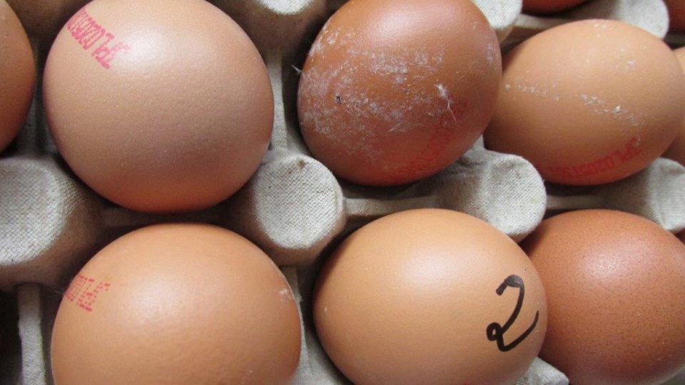 Nevyhovujúci výrobok - čerstvé vajcia, trieda A, hmotnostná trieda S, stredné: hmotnosť od 43 g do 52 g, kód na vajci: 3PL 02051301 K2, kód triediarne: PL30225901