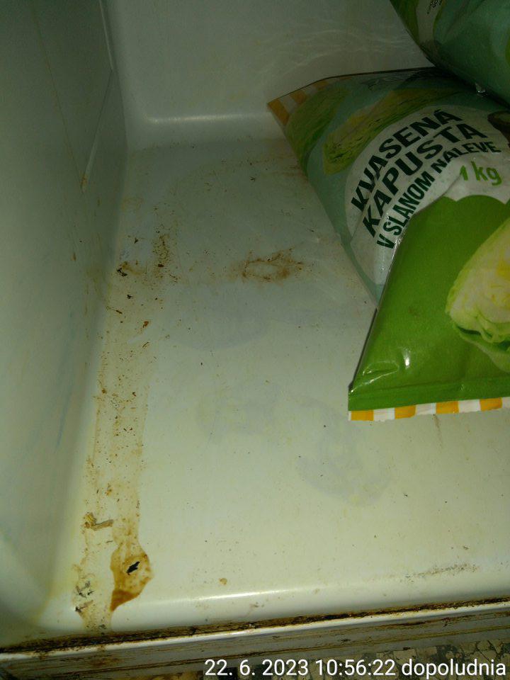 Nevyhovujúci hygienický stav chladiaceho zariadenia slúžiaceho na uchovávanie spracovanej zeleniny v zázemí predajne (kvasená kapusta)- počiatočná korózia v spodnej časti konštrukcie chladiaceho zariadenia, regál v spodnej časti znečistený potečením po výrobkoch.