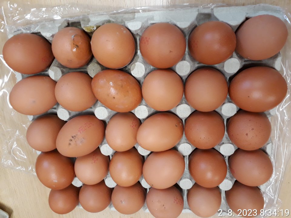 vyšetrované vajcia nevyhoveli- vzhľad- vajcia s prasknutou škrupinou a znečistenou škrupinou, na povrchu vajec porast plesní, čo sa potvrdilo aj mykologickým nálezom potvrdená prítomnosť plesní Aspergillus sp., Penicillium sp., a Cladosporium sp.