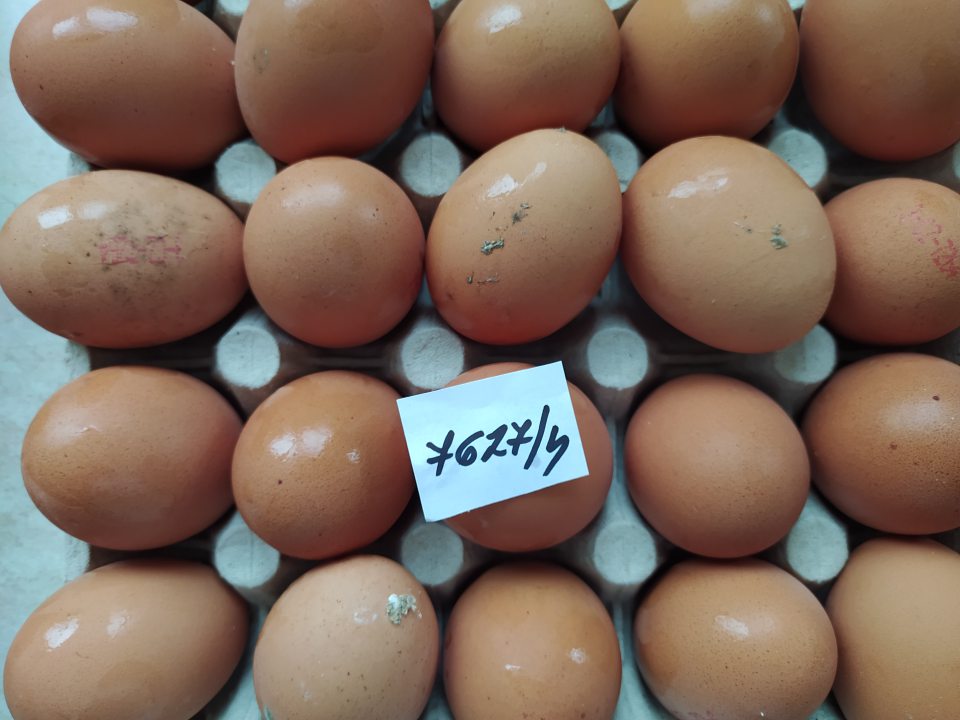 Vajcia s prasknutou a znečistenou škrupinou, na povrchu vajec porast plesní, čo sa potvrdilo aj mykologickým nálezom.