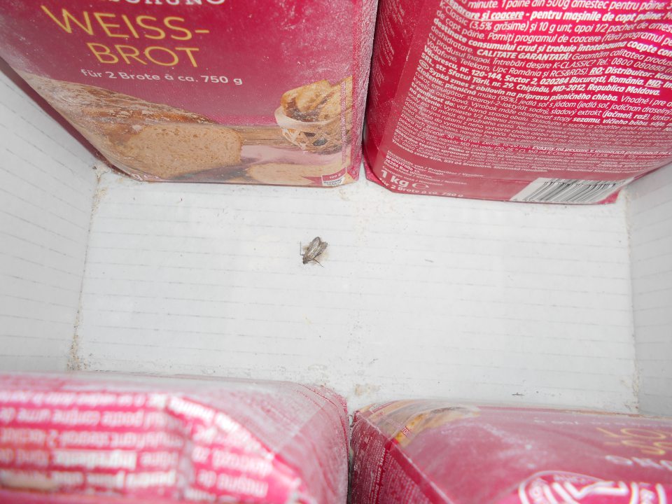 Mole pri múke v regáli na predajni.