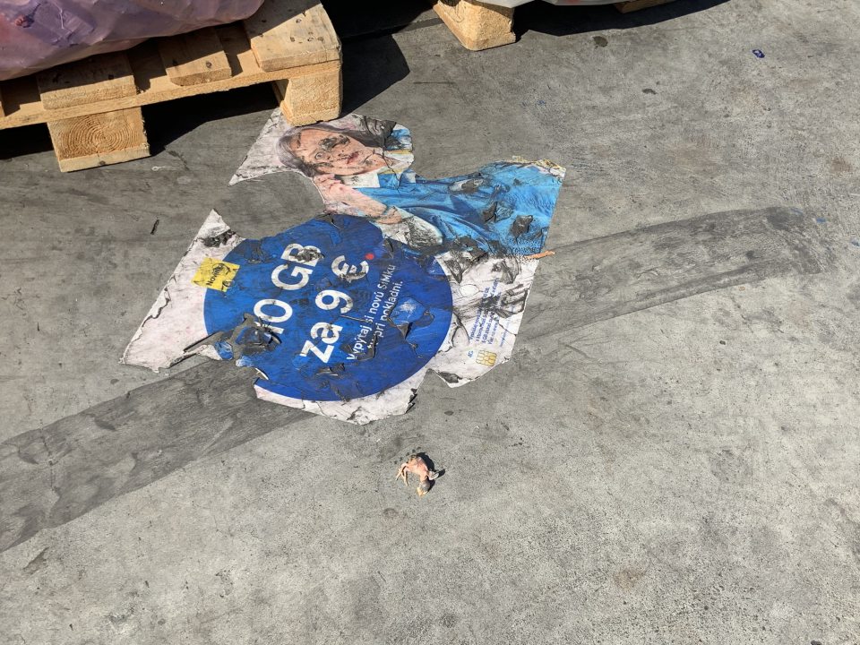 výskyt uhynutého vtáka