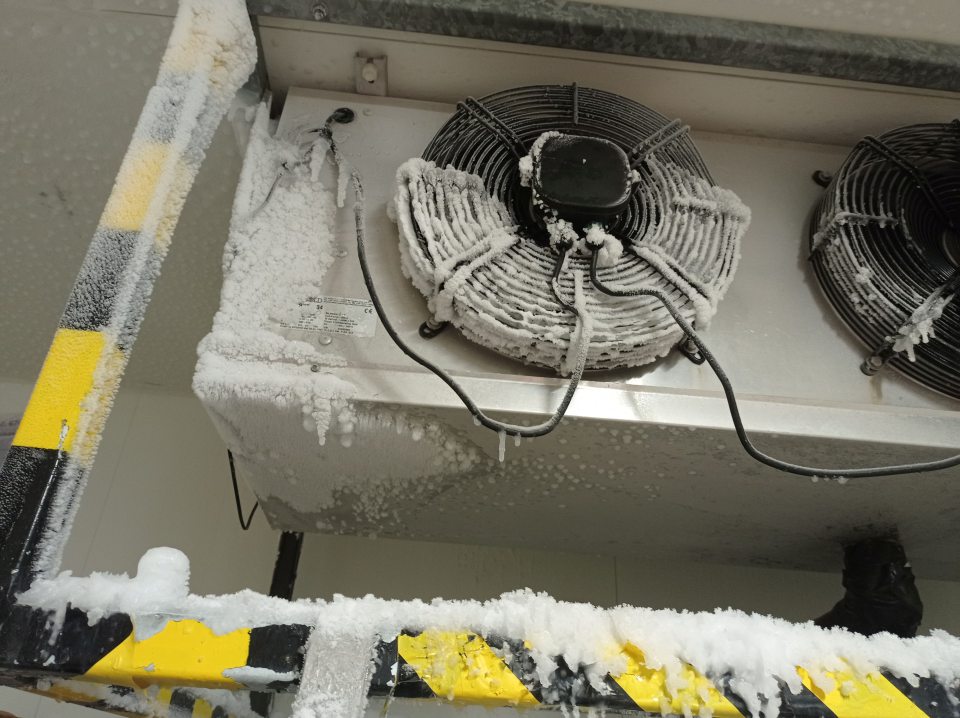 V mraziacom boxe hlbokozmrazených polotovarov určených na dopekanie finálnych výrobkov (nebalených pekárskych výrobkov) na celom strope, a hlavne v blízkosti ventilátora a na ňom sa nachádzala hrubá vrstva námrazy, až cencúle vytvorené z namrznutej odkvapkávajúcej vody, kondenz odkvapkával na podlahu, aj priamo na kartónové obaly, v ktorých boli uložené hlbokomrazené pekárske polotovary.