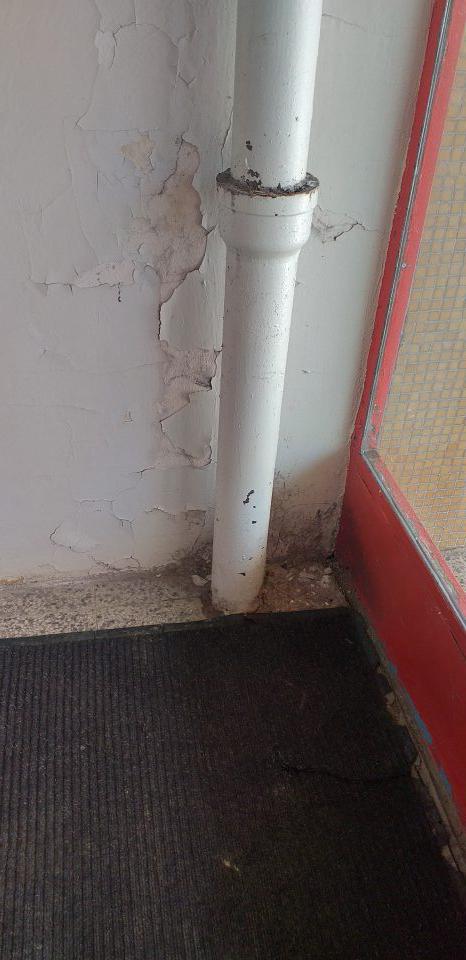 Necelistvý povrch steny vo vstupnom priestore predajne slúžiaceho aj na dočasné uskladnenie pekárskych výrobkov