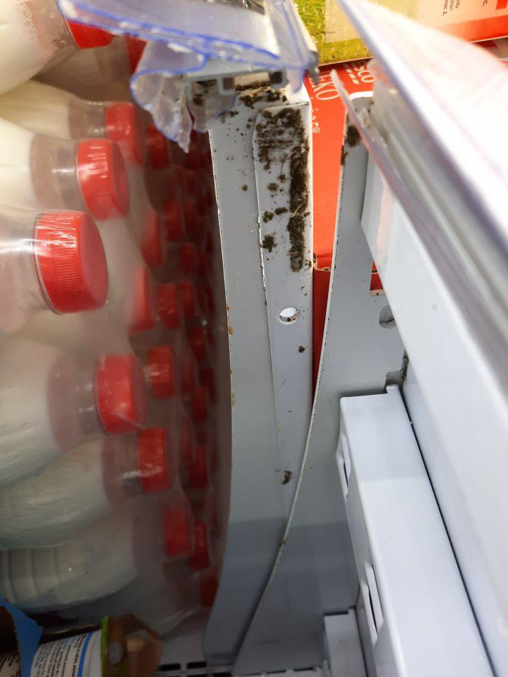 výskyt kolonií plesní v chlad.zariadení