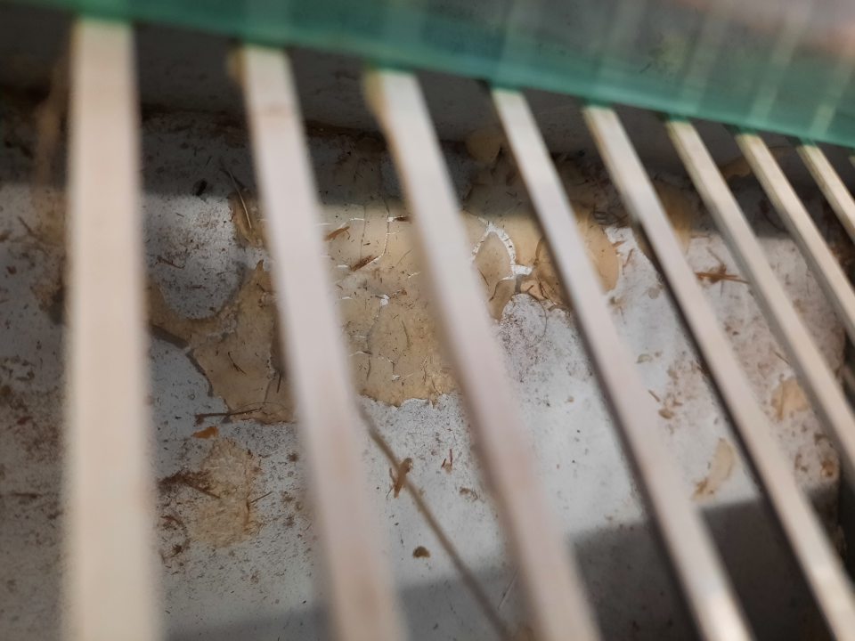 Znečistenie chladiaceho zariadenia na predajnej ploche 