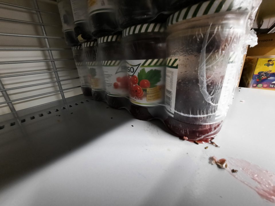 výskyt exkrementov hlodavcov v zázemí v sklade