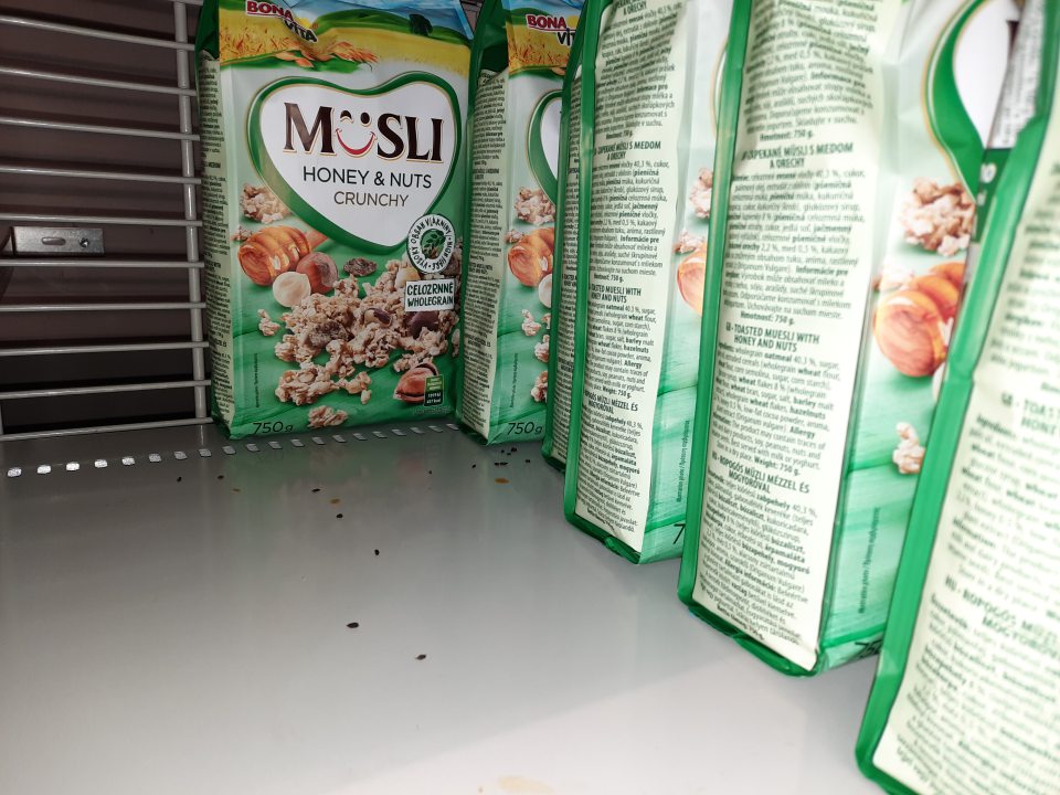 výskyt exkrementov hlodavcov 01032023