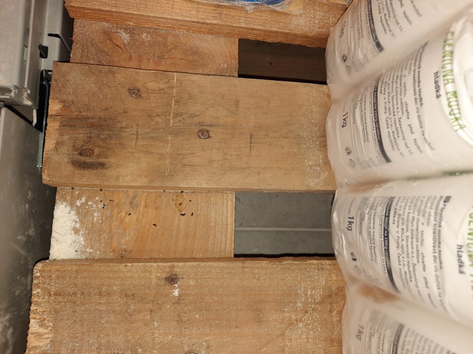 výskyt exkrementov hlodavcov 01032023