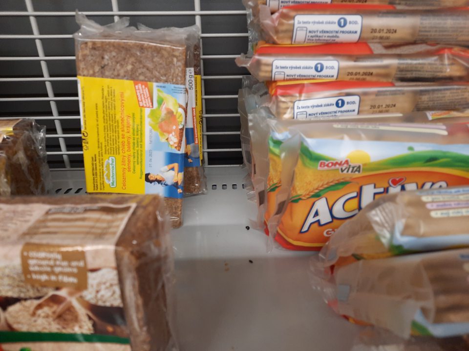 výskyt exkrementov hlodavcov na predajni