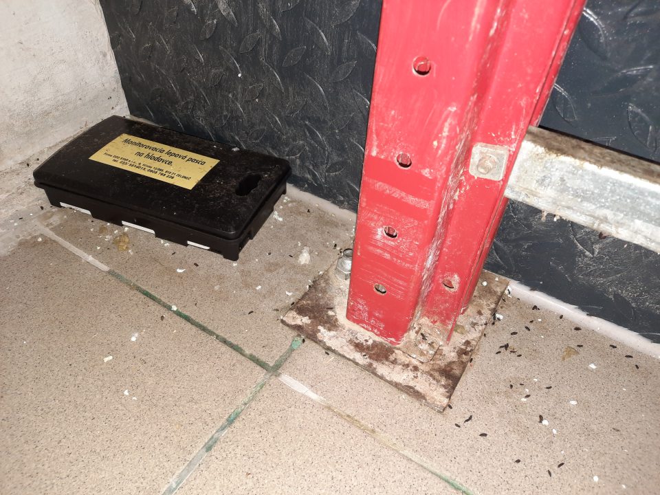 výskyt exkrementov hlodavcov v sklade 130223