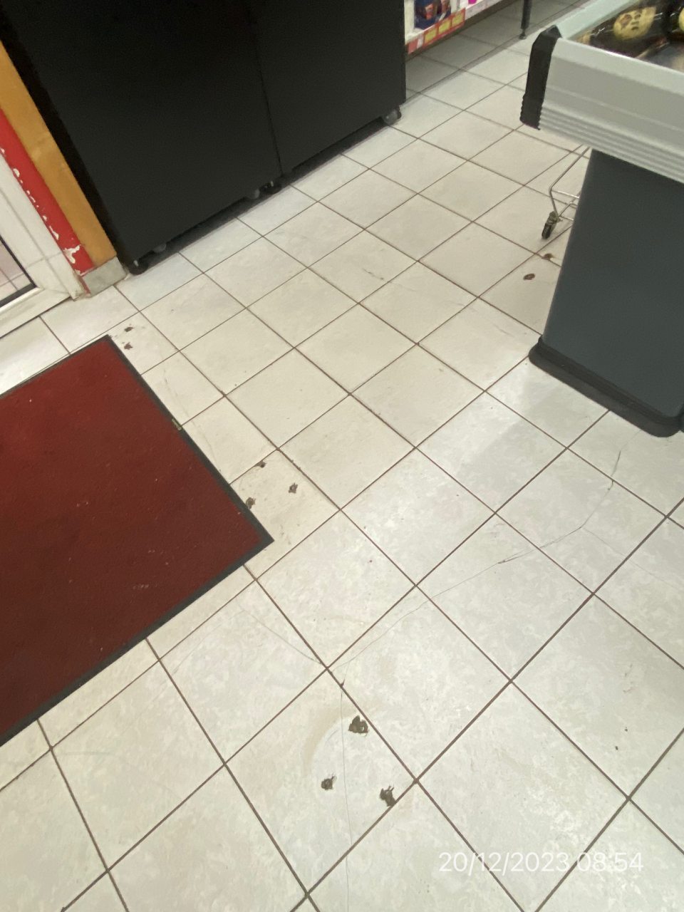 hygienicky a technicky nevyhovujúce steny/maľba/, podlahy/necelistvosť/ ,poškodené drevené dvere