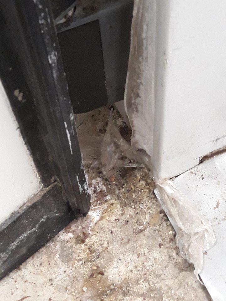 V skladovom priestore pred vstupnými dverami do mraziaceho boxu slúžiaceho na saldovanie hlbokozmrazeného pekárskeho polotovaru znečistená zaschnutou špinou, prachom mechanickými nečistotami.