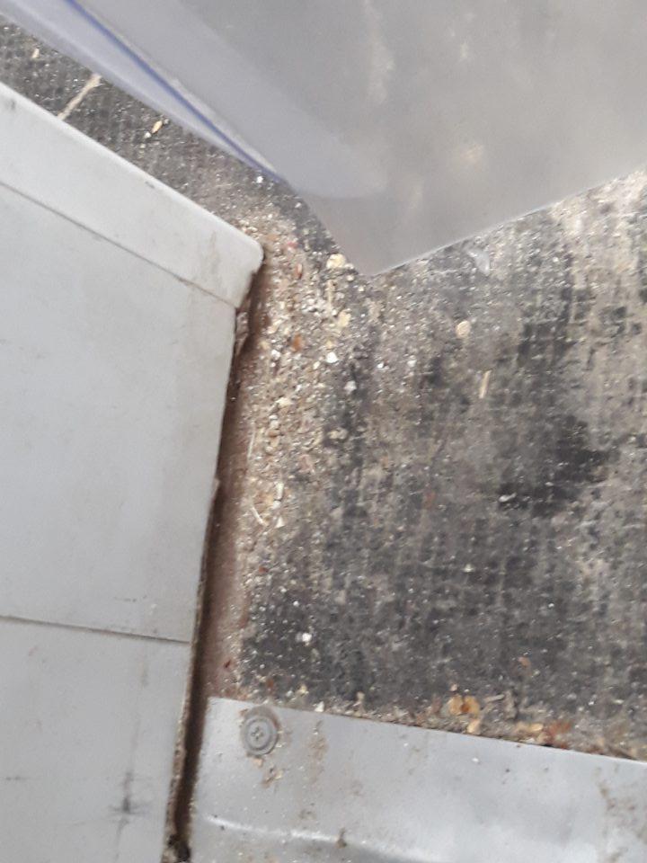 V skladovacích priestoroch podlaha v ľavom rohu pred vstupnými dverami do mraziaceho boxu slúžiaceho na skladovanie hlbokozmrazeného pekárskeho polotovaru určeného na dopekanie s názvom „Mraziarenský sklad pečiva“ silne znečistená zaschnutou usadenou špinou, prachom, mechanickými nečistotami.