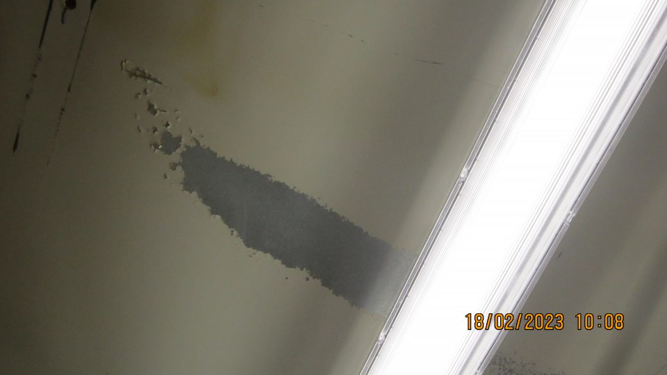 V mraziacom boxe v skladových priestoroch olupujúci, porušený náter stropu 