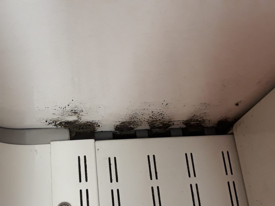 Na predajnej ploche bočná stena vo vrchnej časti v chladiacom zariadení slúžiacom na vystavovanie a predaj lahôdkarských výrobkov /Šalát z čiernej šošovice, tekvice a vareného kuskusu 180g, Tortilla s omeletou šunkou, syrom a baby špenátom, Sendviče/ po celej dĺžke znečistená nánosom usadených nečistôt s výskytom plesne.