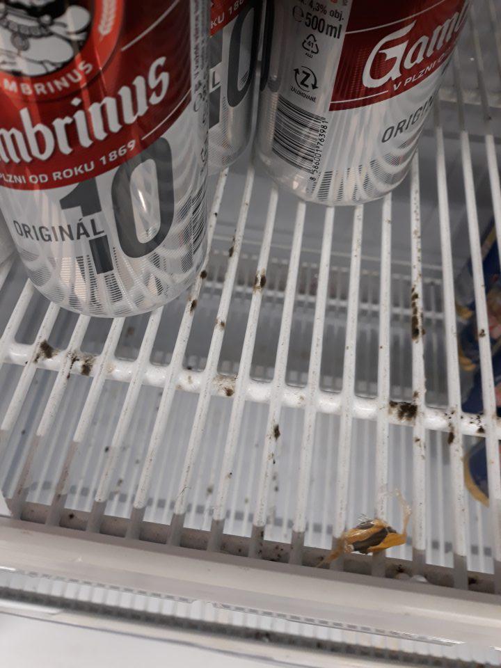 Na predajnej ploche mriežky v chladiacom zariadení slúžiacom na vystavovanie a predaj plechovkového piva Gambrinus, Šariš, Birel silne znečistené nánosom nečistôt, zaschnutou špinou s výskytom plesne