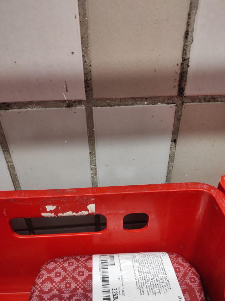 Výskyt plesne čiernej farby v chladiacom boxe.