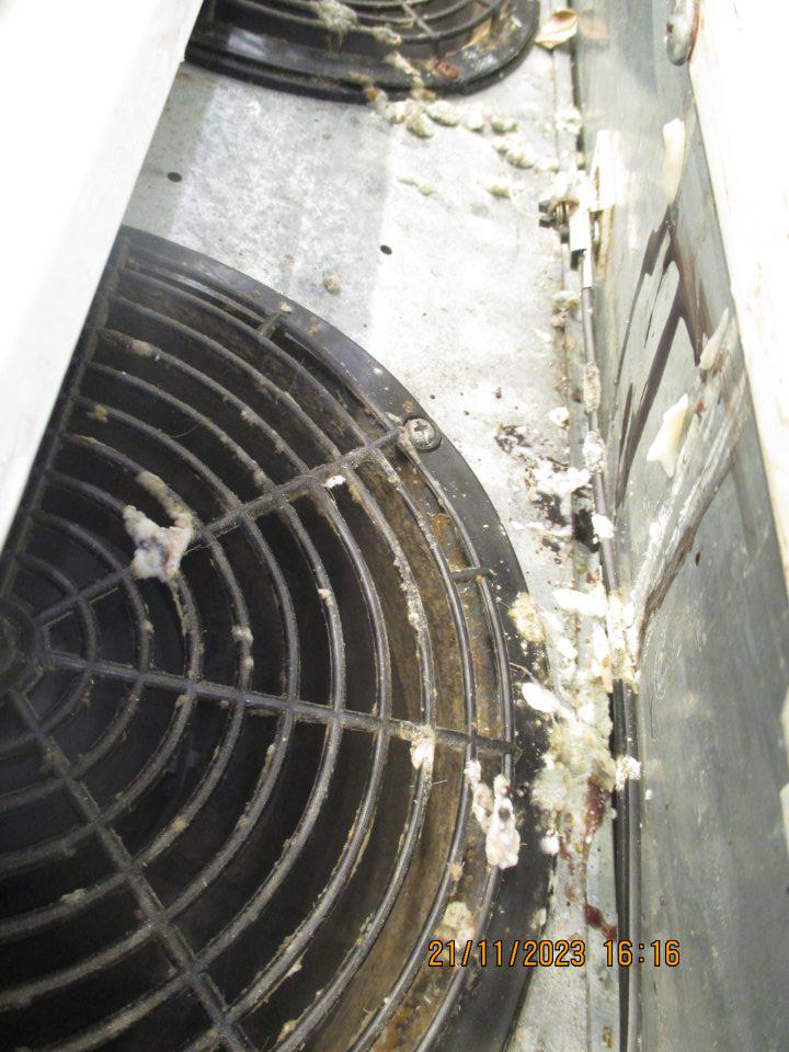  V chladiacich boxoch s uskladnenými mliečnymi výrobkami sa pod kovovou mriežkou nachádzali zvyšky jogurtov a hrubý nános špiny a plesne.