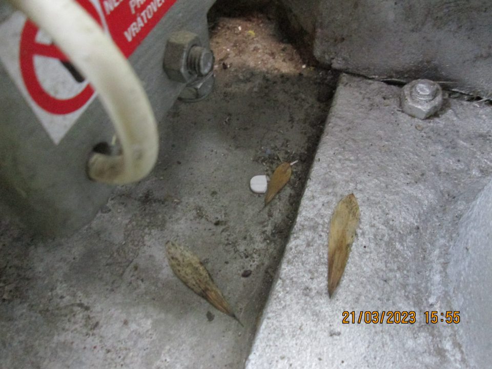 V kúte pri sekčnej bráne  zistené nečistoty a suché lístie.