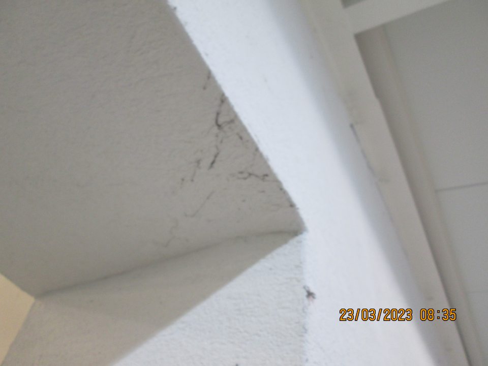 V skladovacích priestoroch určených na uskladnenie nealkoholických nápojov, kryštálového cukru... výskyt pavučín medzi stropom a stenou a na prechodovom otvore.