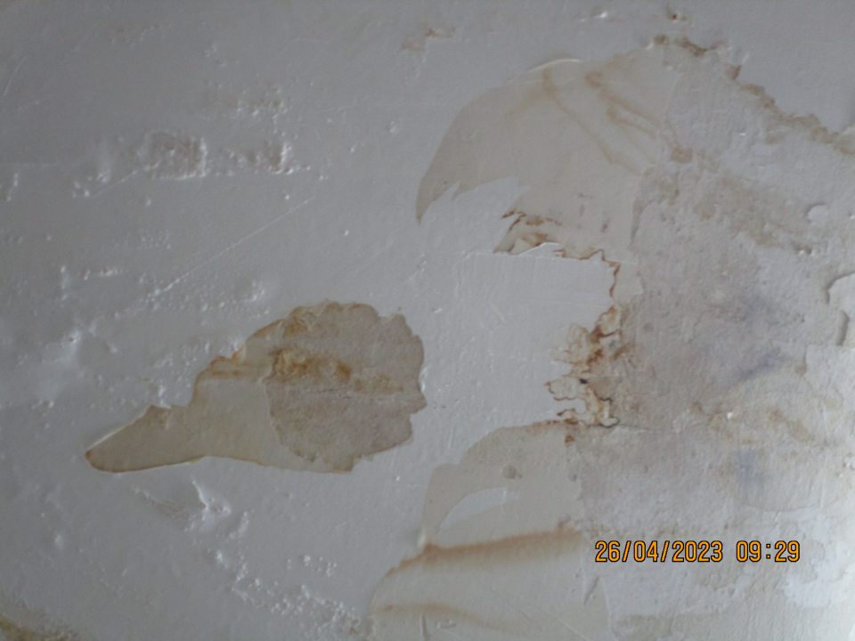 na predajnej ploche na 5 miestach v častiach nad chladiacou vitrínou s uskladnenými mliečnymi výrobkami, nad regálmi s nealkoholickými nápojmi, konzervami, cestovinami, čokoládou a cukrovinkami zamoknutý a zaplesnivelý strop