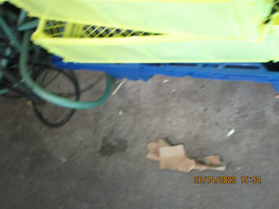 v zázemí odtrhnutá kovvá lišta, znečistená podlaha šupkami z cibule a nánosy špiny - v kafilerickej časti znečistená podlaha špinou a kúskami kartónov