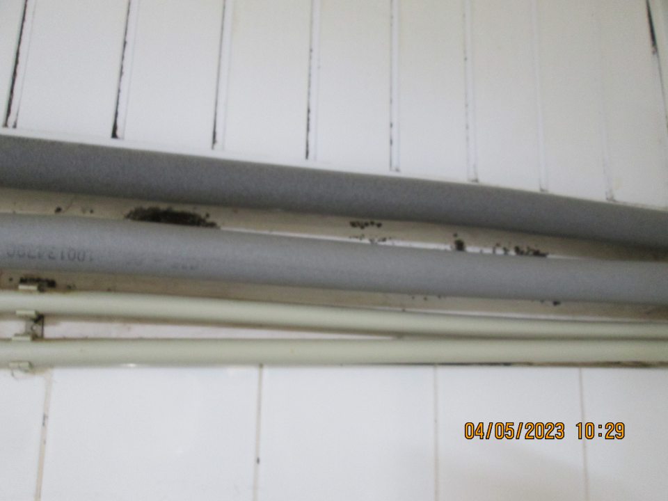 Výrobňa jemného pečiva stena nad umývadlom s výskytom plesne.