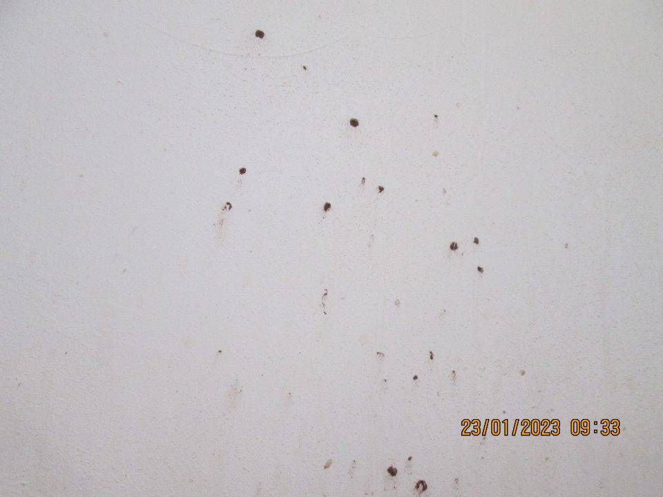 Vo výrobnej miestnosti za miešadlom Z znečistený hygienický náter stenyzvyškami čokolády a iných surovín, taktiež vpravo od miešadla pod oknom stena zmečistená sirupom a čokoládou