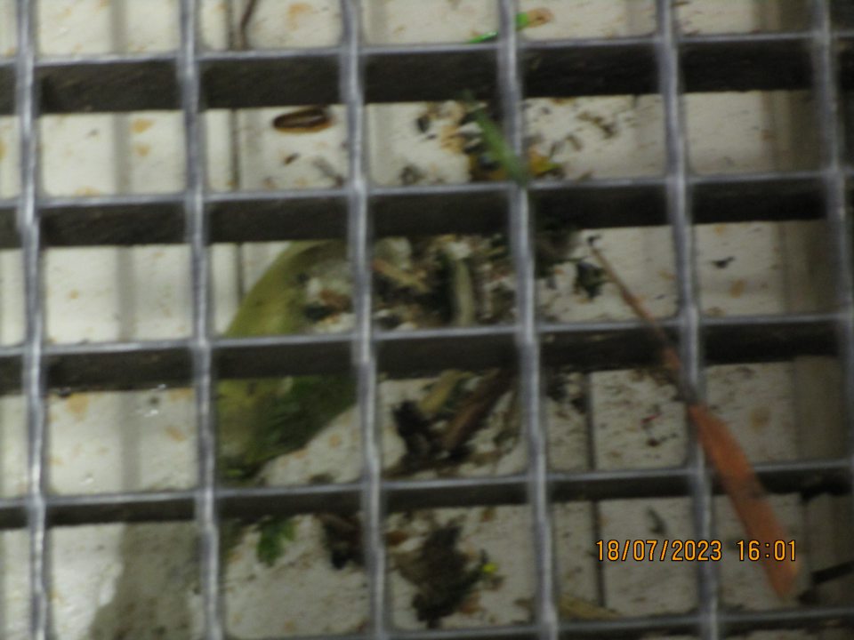 vo výlevke v zázemí prevádzky výskyt nečistôt