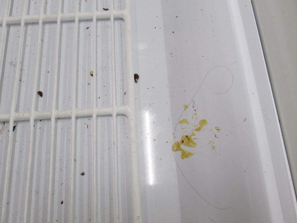 Na dne mraziaceho boxu na predajnej ploche určenom na skladovanie hlbokozmrazených potravín zistené nečistoty, vlasy a prilepené  zvyšky mrazeného krému.