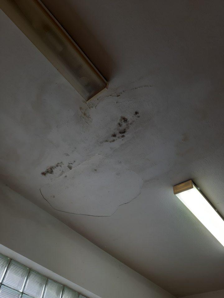 Strop v predajnej časti je poškodený, nerovný, znečistený od zatečenia a porastom čiernej plesne.