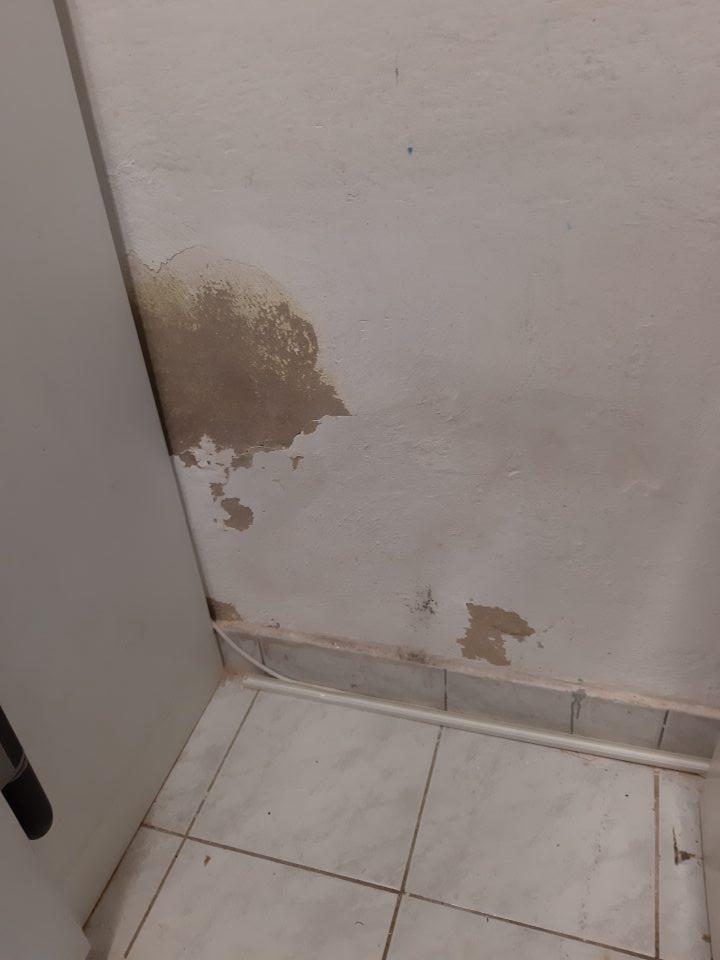 Stena v manipulačnom priestore pri chladiacom boxe má poškodenú , opadávajúcu omietku. Podlaha v jej blízkosti je znečistená hrubou nečistotou a zvyškami opadanej omietky.