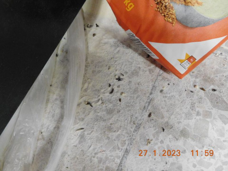 Zistený výskyt trusu hlodavcov v priestore pri predaji mlynských výrobkov.