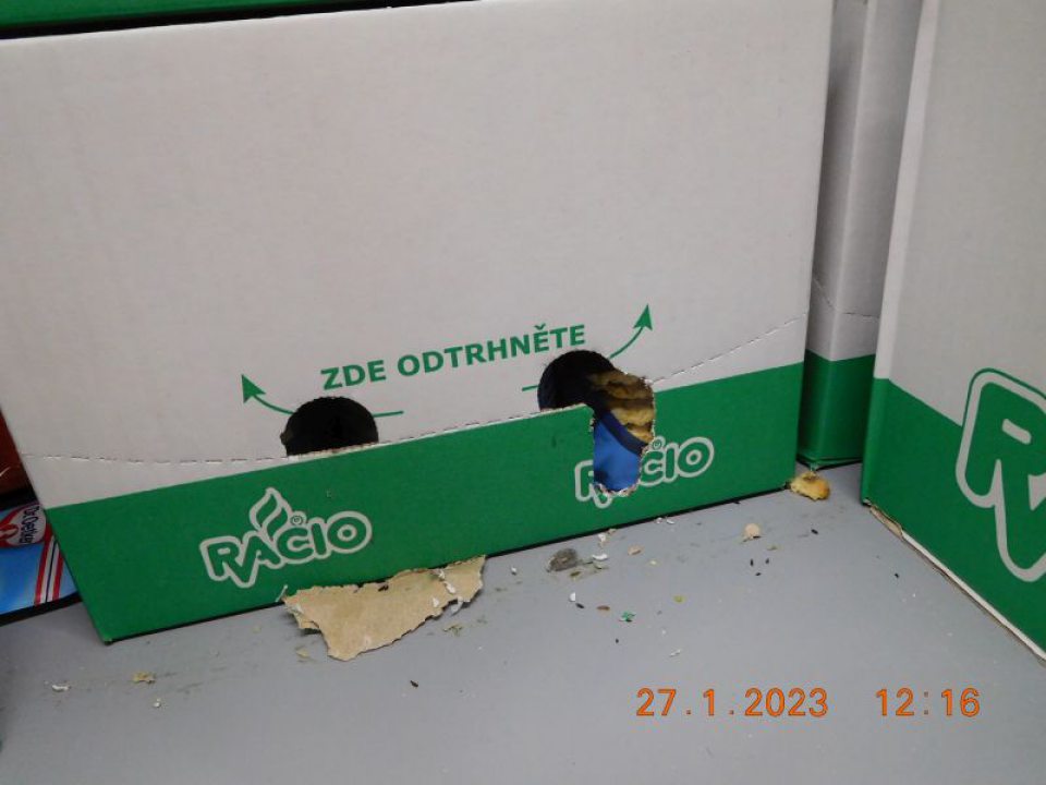 Zistený predaj 2 druhov výrobkov s poškodeným obalom v dôsledku pravdepodobného prehryzenia hlodavcami.