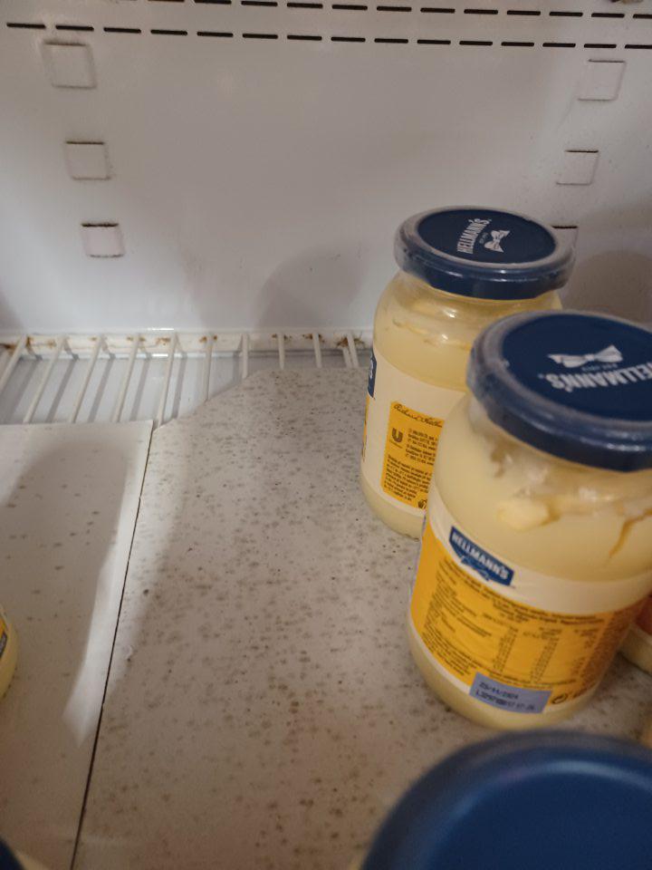 Kartóny pod predávanými potravinami znečistené plesňou