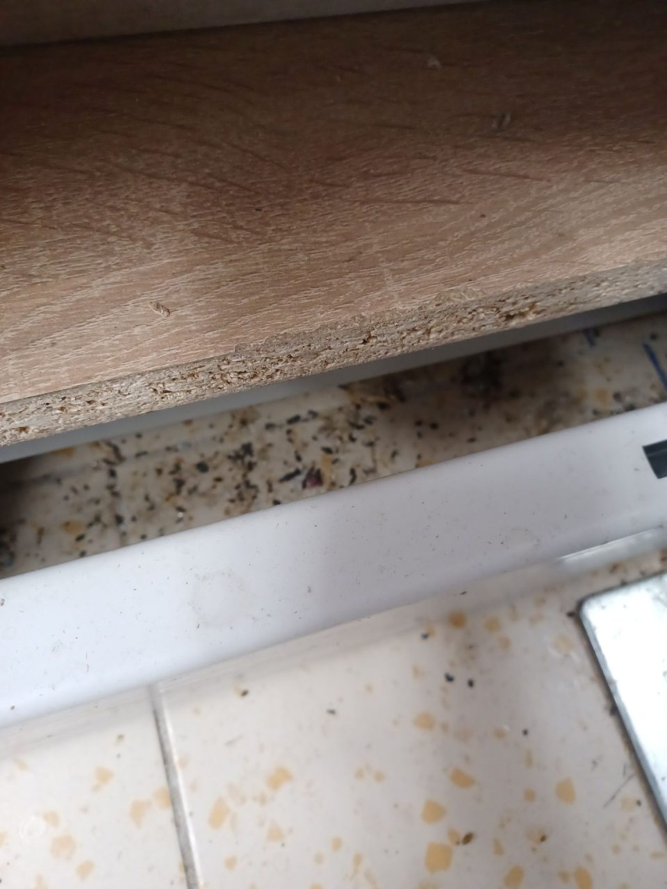 Výskyt trusu hlodavcov na ťažšie dostupných miestach na predajnej ploche.